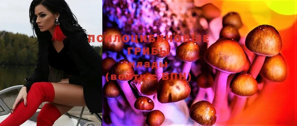 гидра Белоозёрский