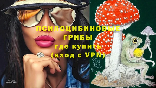 крисы Беломорск
