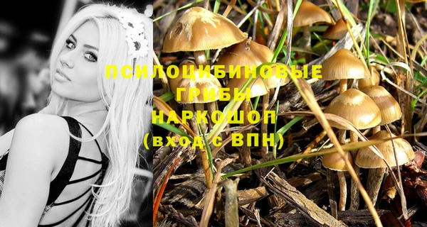 mdpv Елизово